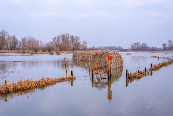 hoogwaterOoypolder