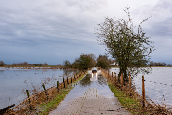 hoogwateruiterwaarden Wageningen
