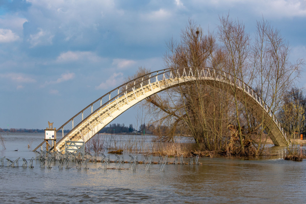 hoogwaterbrug uiterwaarden Ooy Nijmegen