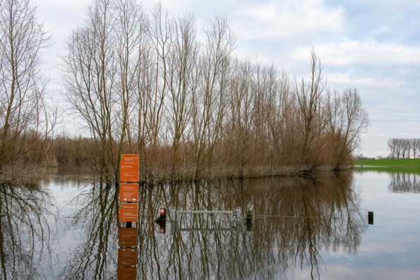 hoogwateruiterwaarden Weurt