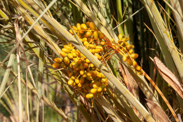 kmr_2019-natuur-0459