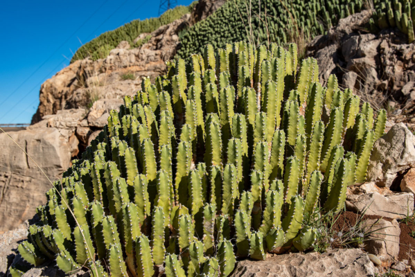 kmr_2019-natuur-7348