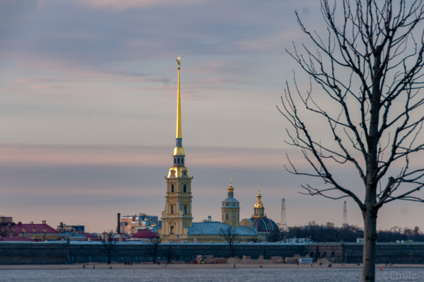 petersburg-9155