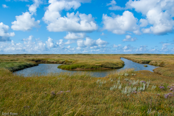 landschapTerschelling